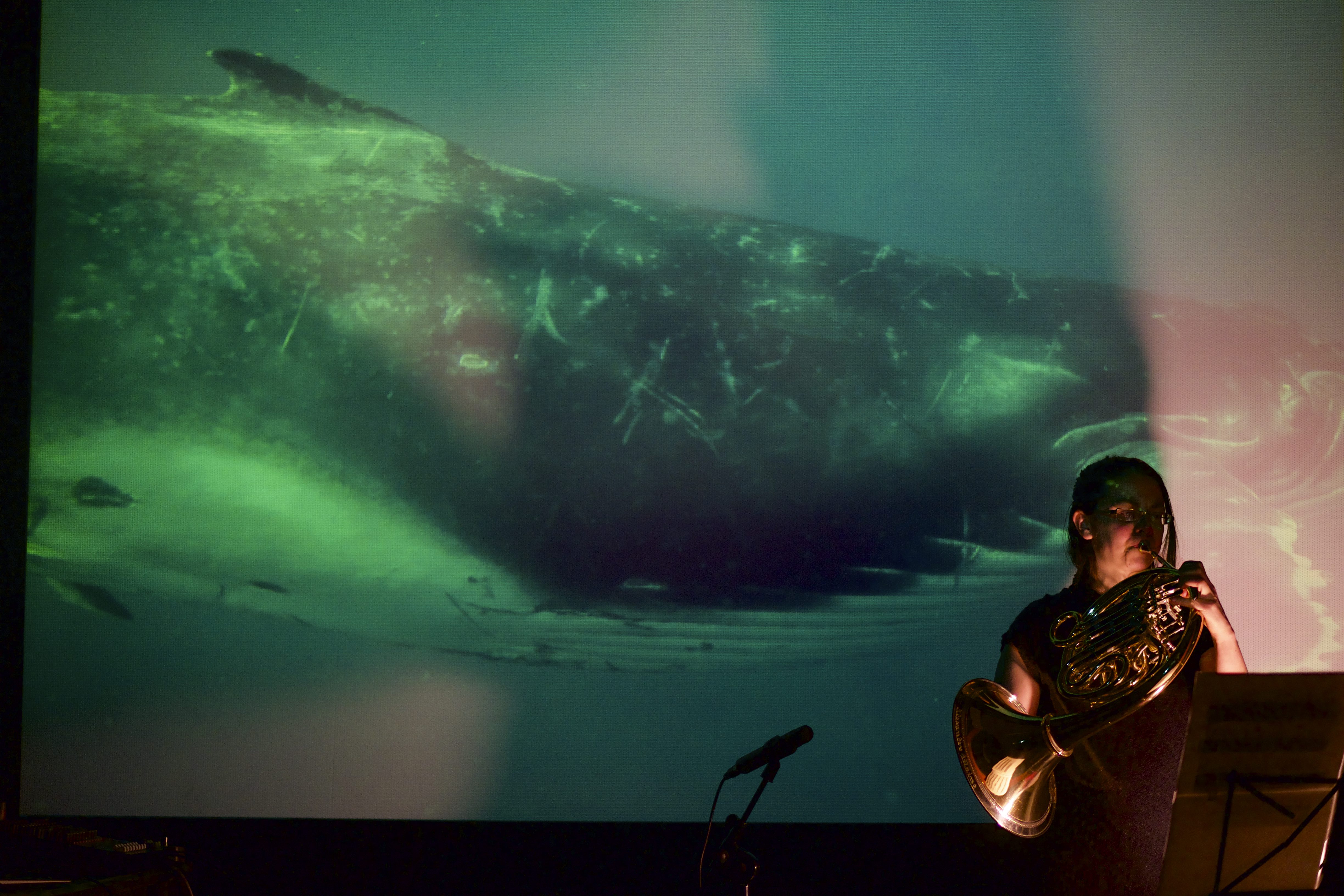 Whale Performance at Lichtblick Kino